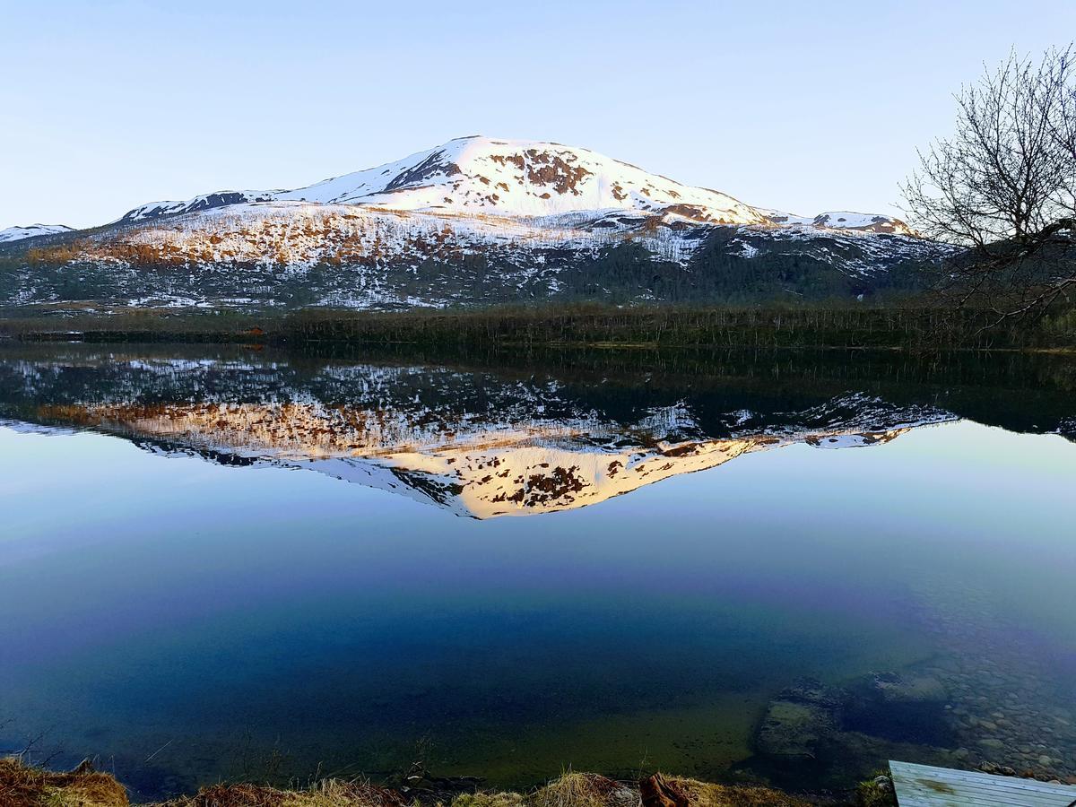 Elvestua Villa Gibostad Dış mekan fotoğraf