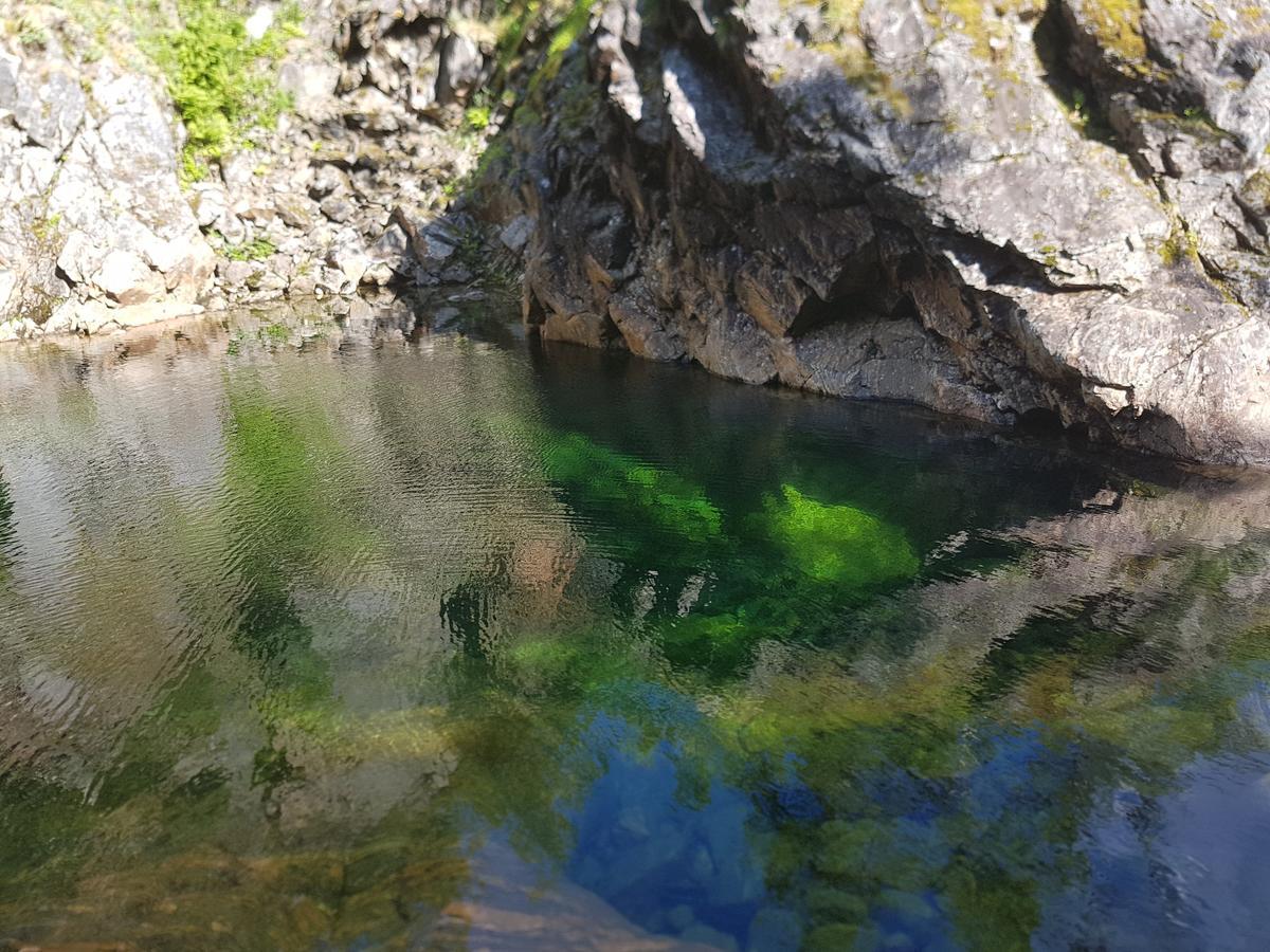 Elvestua Villa Gibostad Dış mekan fotoğraf