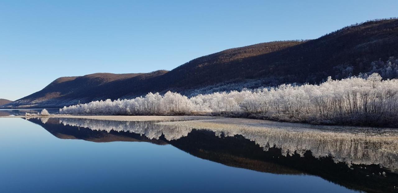 Elvestua Villa Gibostad Dış mekan fotoğraf